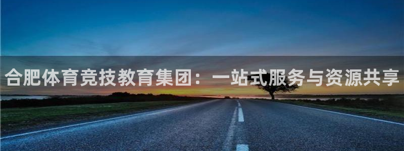 vsport体育官方正版app集团官网首页网址：合肥
