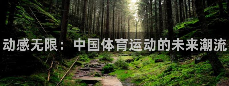 vsport体育官网下载平台是正规平台吗安全吗：动感