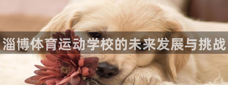 vsport体育官网下载娱乐：淄博体育运动学校的未来发展与挑