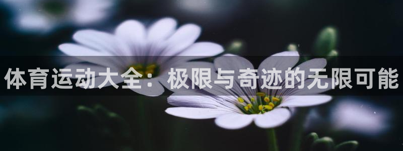 vsport体育官方正版app集团官网首页网址：体育运动大全