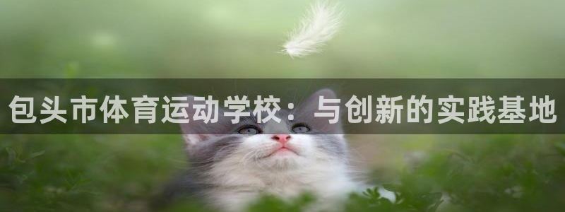 vsport体育官网下载平台注册要钱吗安全吗：包头市
