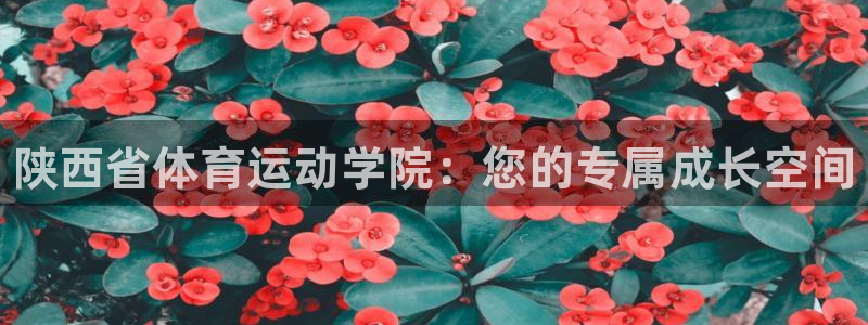 vsport体育官方正版app集团E.ON：陕西省体育运动学