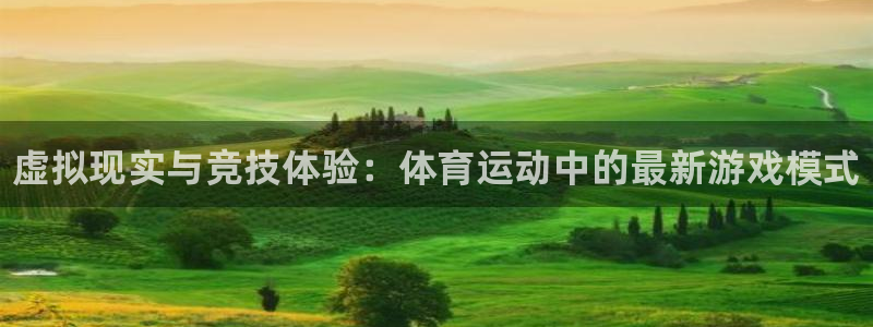 vsport体育官方正版app集团logo：虚拟现实与竞技体