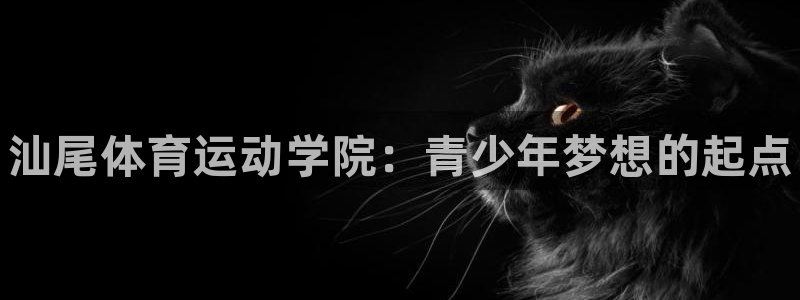 vsport体育官网下载平台注册流程视频：汕尾体育运