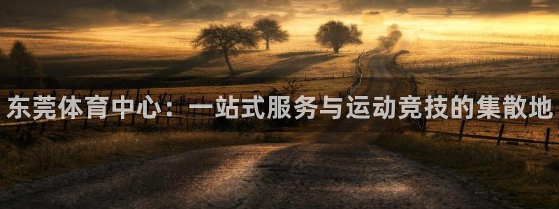 vsport体育官方正版app集团官网网址：东莞体育