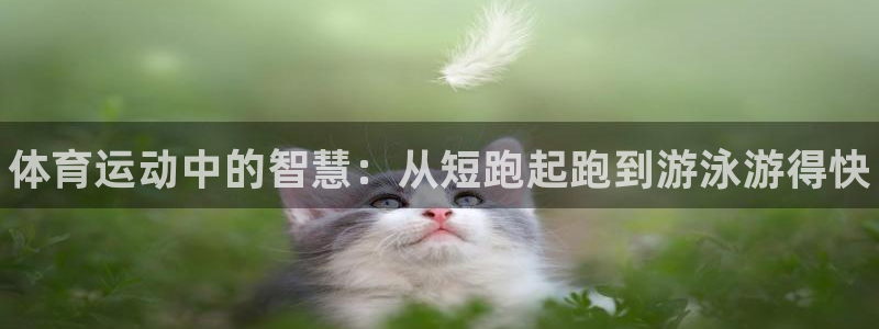 vsport体育官网下载招商电话号码是多少号：体育运动中的智