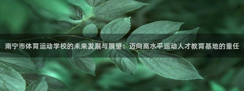 vsport体育官方正版app开户：南宁市体育运动学