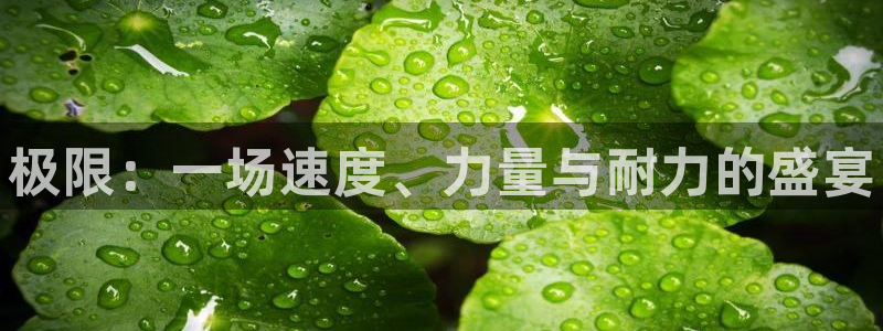 vsport体育官网下载联系电话：极限：一场速度、力