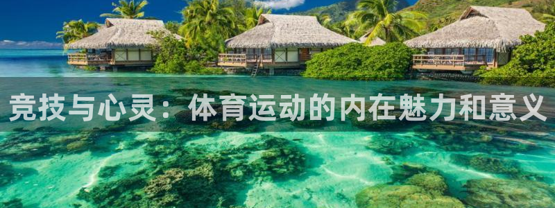 vsport体育官方正版app娱乐首页官网下载：竞技