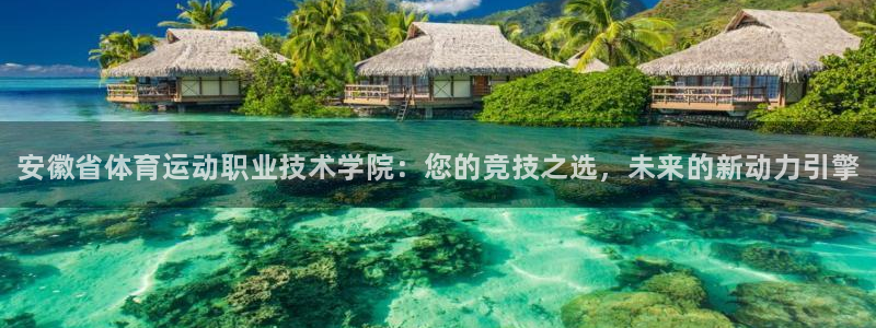 vsport体育官方正版app代理：安徽省体育运动职