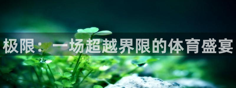 vsport体育官方正版app集团官网网址：极限：一