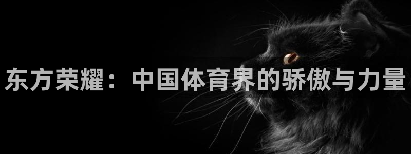 vsport体育官网下载官方客服电话