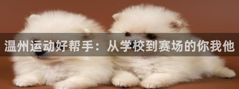 vsport体育官方正版app集团E.ON：温州运动好帮手：