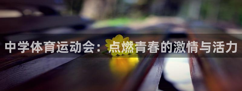 vsport体育官网下载官方客服电话：中学体育运动会：点燃青