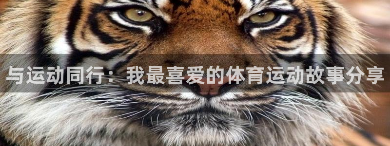 vsport体育官网下载招商：与运动同行：我最喜爱的