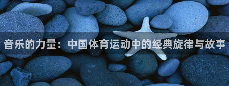 vsport体育官网下载招商电话是多少号码