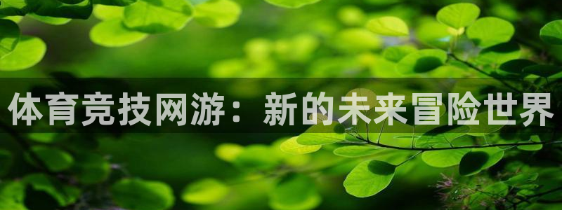 vsport体育官方正版app代理：体育竞技网游：新的未来冒