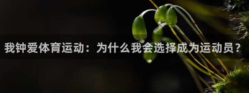 海南vsport体育官网下载发展怎么样：我钟爱体育运动：为什