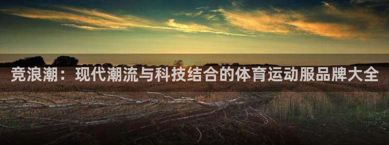 德国vsport体育官方正版app集团