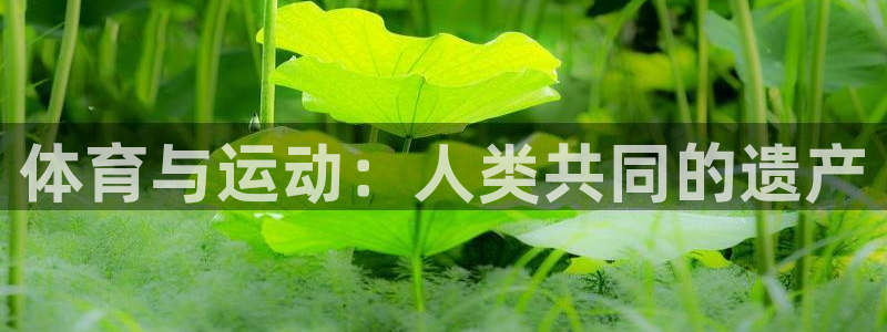 vsport体育官网下载招商电话地址：体育与运动：人