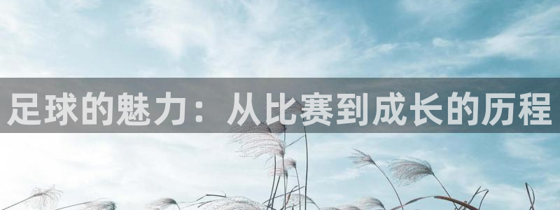 vsport体育官方正版app集团官网网址：足球的魅