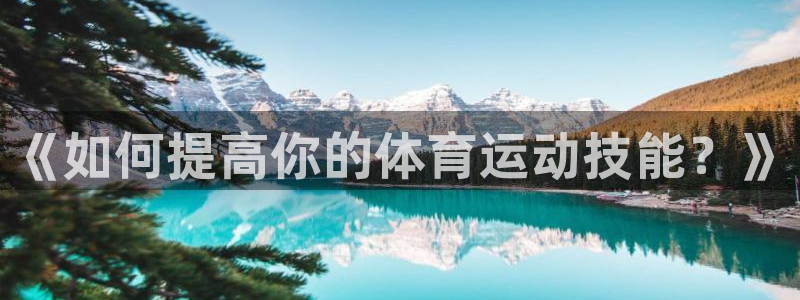 vsport体育官方正版app集团logo：《如何提高你的体