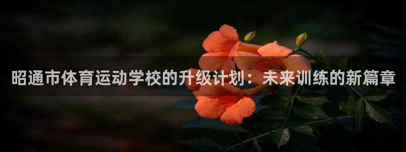 vsport体育官方集团官网：昭通市体育运动学校的升级计划：