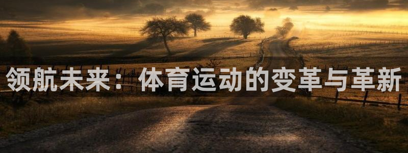 vsport体育官方正版app娱乐平台：领航未来：体育运动的