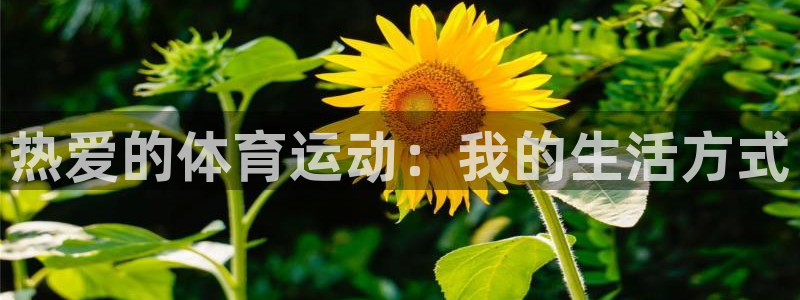 vsport体育官网下载招商电话是多少啊：热爱的体育运动：我