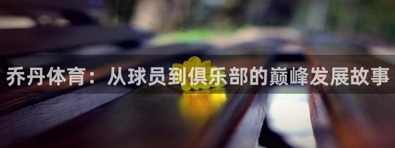 vsport体育官方平台体育：乔丹体育：从球员到俱乐部的巅峰