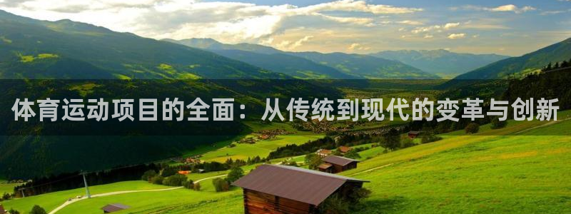 vsport体育官网下载平台是正规平台吗安全吗：体育