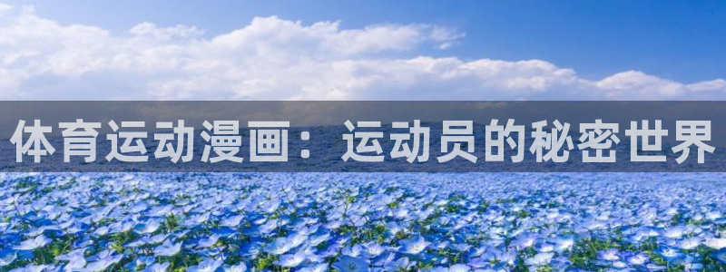 vsport体育官方正版app五金厂：体育运动漫画：