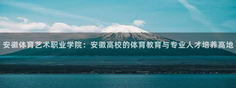 vsport体育官方正版app代理：安徽体育艺术职业