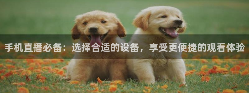 178篮球直播在线免费观看：手机直播必备：选择合适的设备，享受更便捷的观看体验