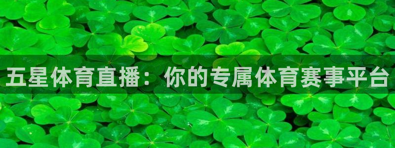 178直播足球直播：五星体育直播：你的专属体育赛事平台