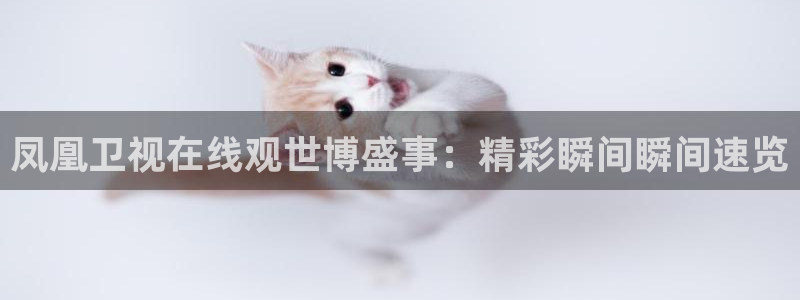 178体育直播nba：凤凰卫视在线观世博盛事：精彩瞬间瞬间速览