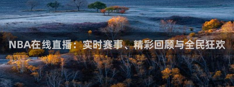 178足球免费高清直播：NBA在线直播：实时赛事、精彩回顾与全民狂欢