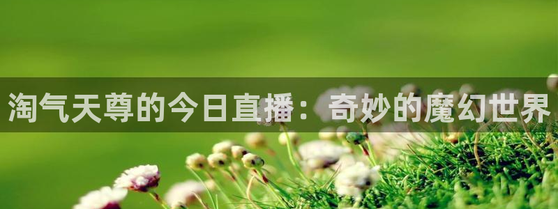 178篮球直播在线观看