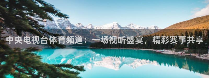 178足球免费直播今日