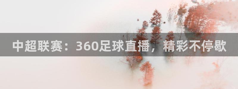 178足球雨燕比赛直播