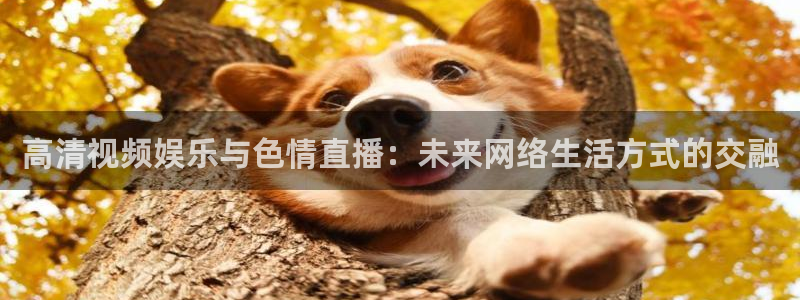 178直播吧体育：高清视频娱乐与色情直播：未来网络生活方式的交融