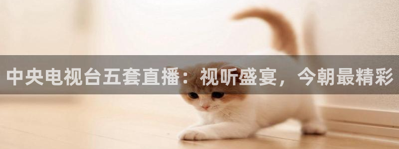 178体育nba直播