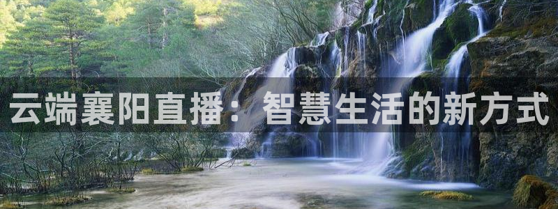 178足球直播免费观看直播
