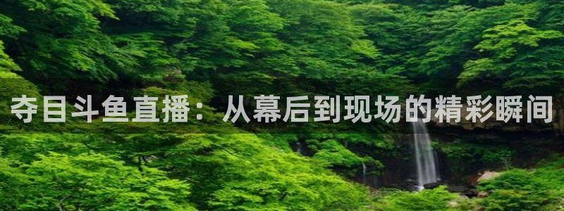 178直播体育赛事