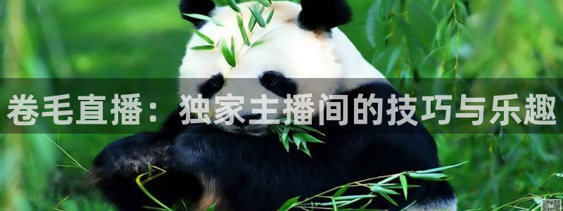 178体育直播比赛在线观看