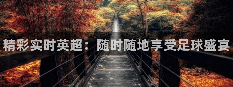 178体育篮球直播在线观看