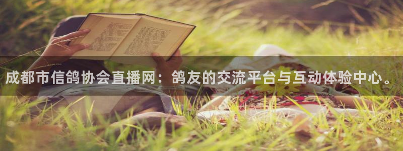 178高清篮球体育直播球迷网：成都市信鸽协会直播网：鸽友的交流平台与互动体验中心。