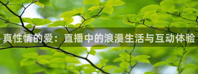 178nba直播：真性情的爱：直播中的浪漫生活与互动体验