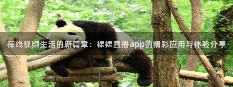 178直播体育官网：在线视频生活的新篇章：裸裸直播app的精彩应用与体验分享