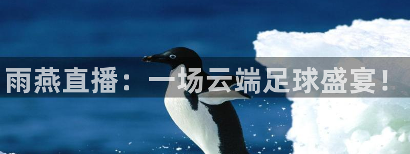 178足球直播网：雨燕直播：一场云端足球盛宴！